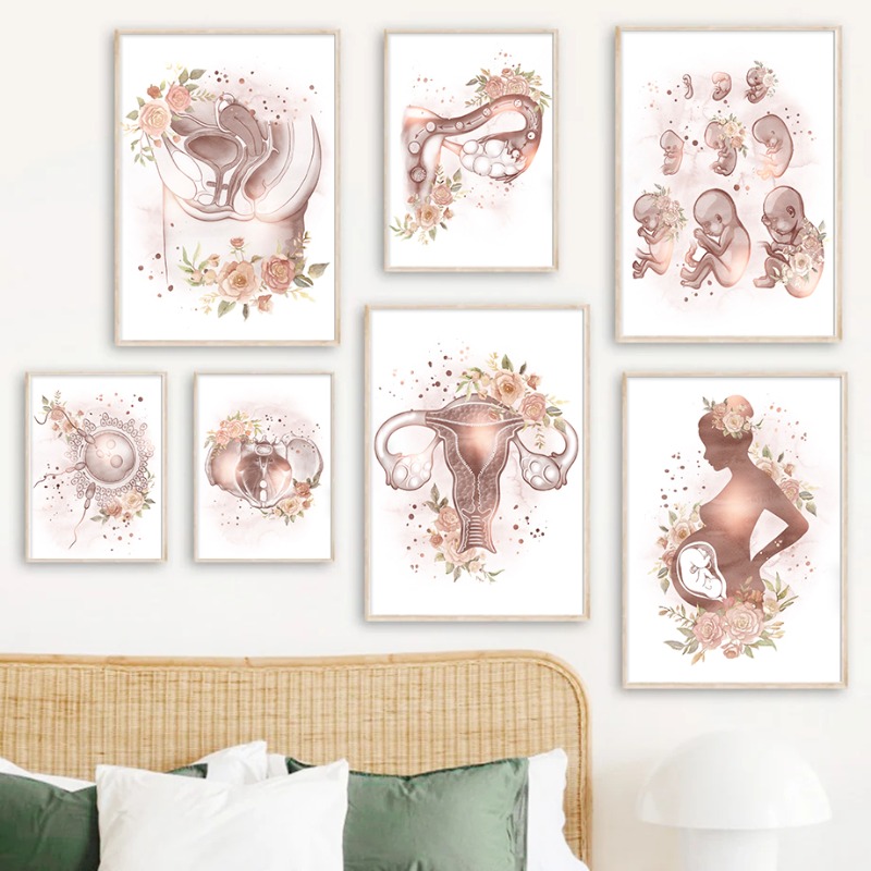 Gynecology Female Anatomy Fert - огляд і ціна Resin Art Pregnancy